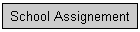 School Assignement