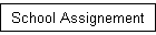 School Assignement
